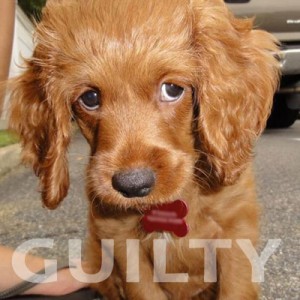 Guilty Are you guilty by the folks that you associate with on social media?
