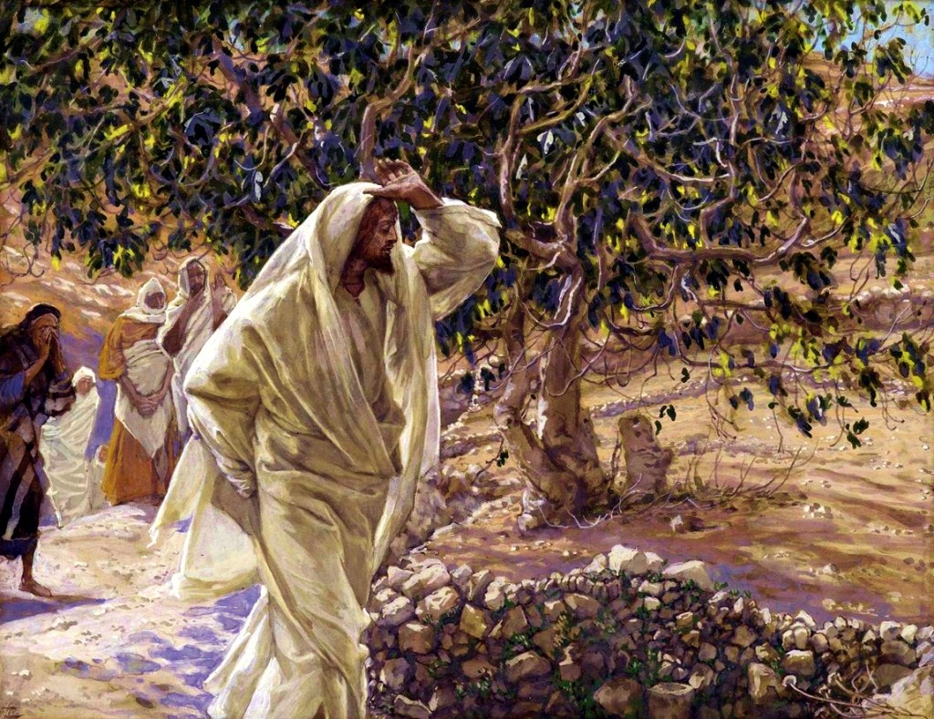 The accursed fig tree - holy week 2015