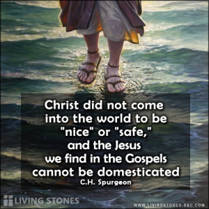july_28_2015_quote