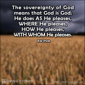 july_30_2015_quote