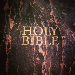This is my favorite Bible, lots of personal notes and great knowledge inside the study notes etc.