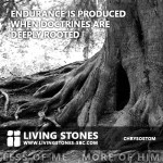endurance_rooted_doctrine