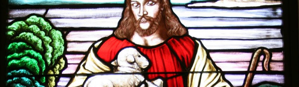 the good shepherd loves protects defends the sheep