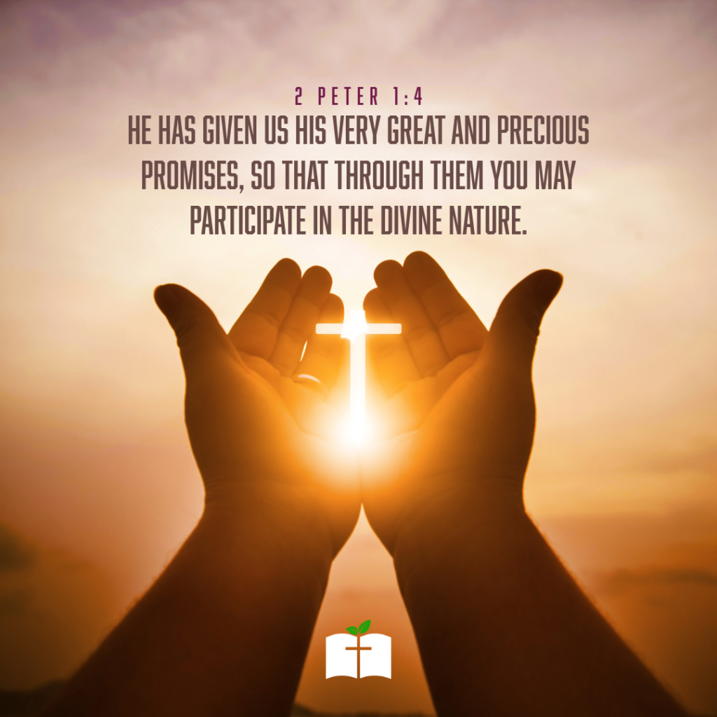 The divine nature and great promises